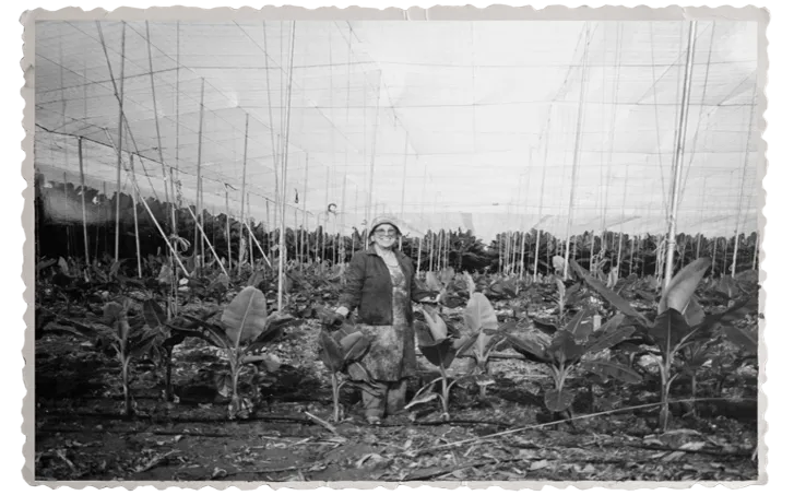 La Finca woman among the bananas