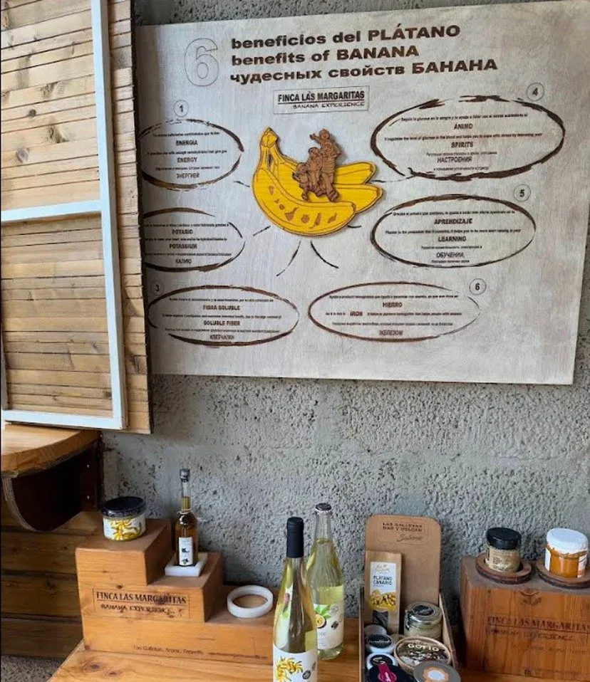 benefits of banana finca las margaritas