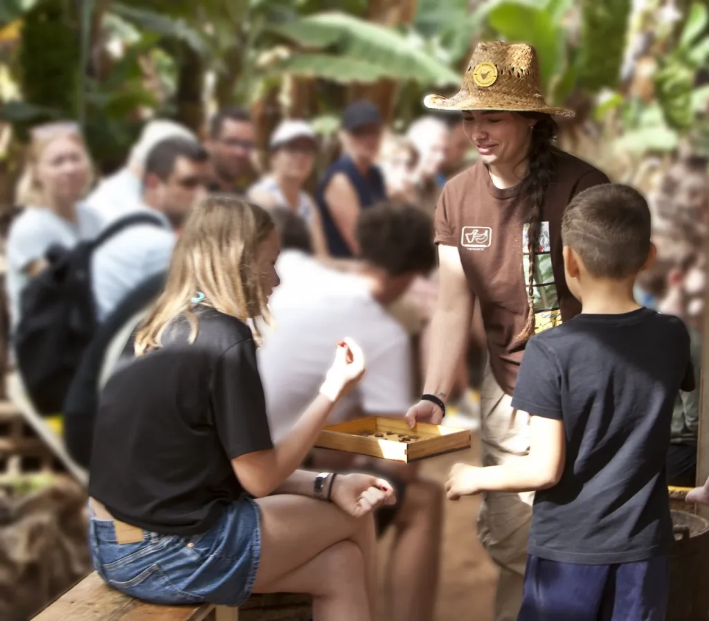 visita guiada banana esperience tenerife 2