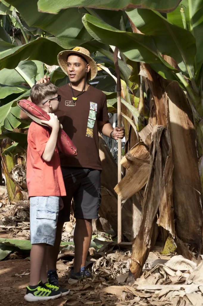 visita guiada banana esperience tenerife 3