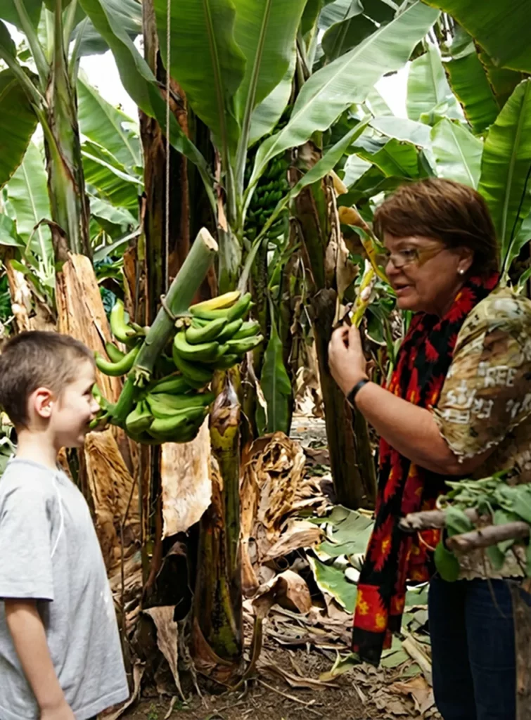 visita guiada banana esperience tenerife 5