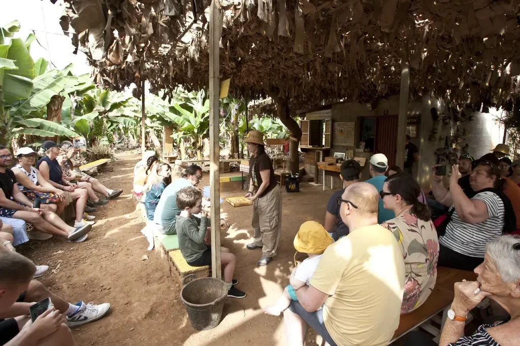 visitas de grupo banana esperience tenerife 2