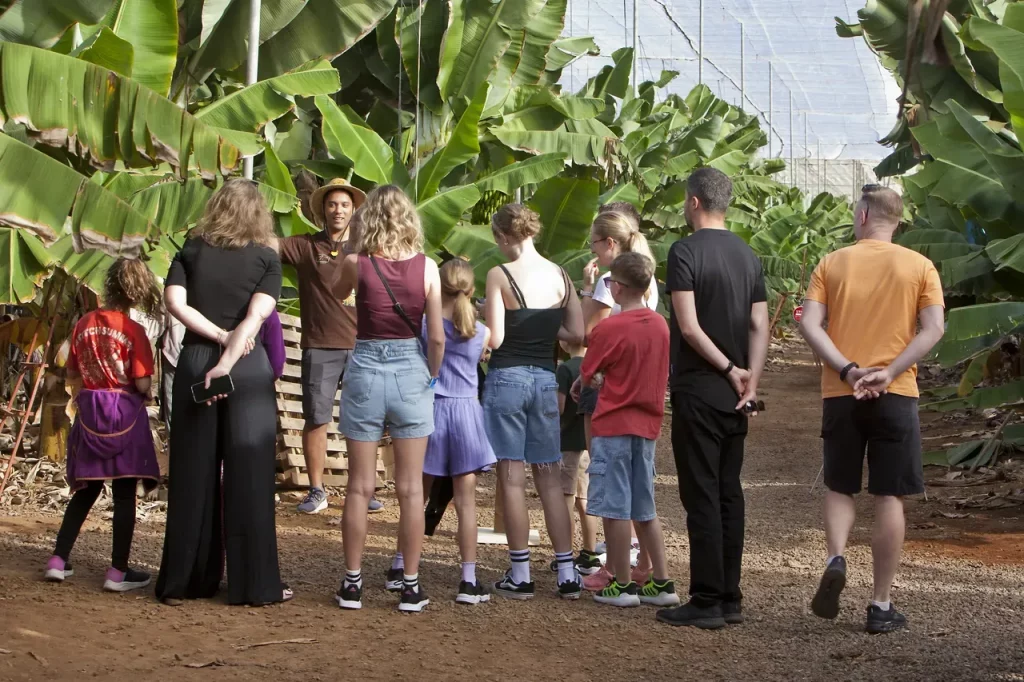 visitas de grupo banana esperience tenerife 3